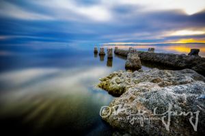 Edge of Salton Sea.jpg